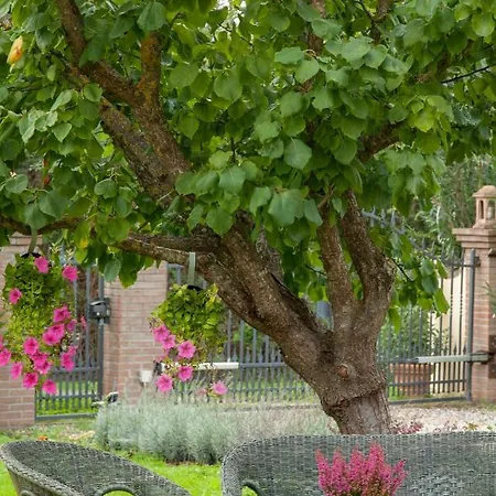 Διαμέρισμα In Casale Toscano *